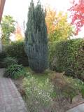 Jardin entrada